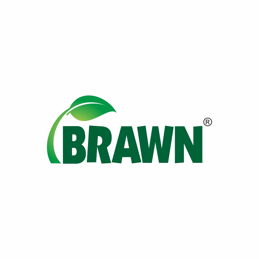 Brawn_logo